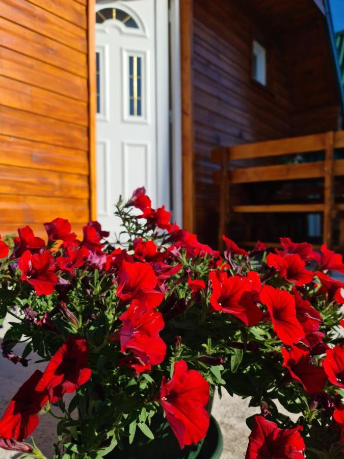 Cottage Danilo Žabljak Dış mekan fotoğraf
